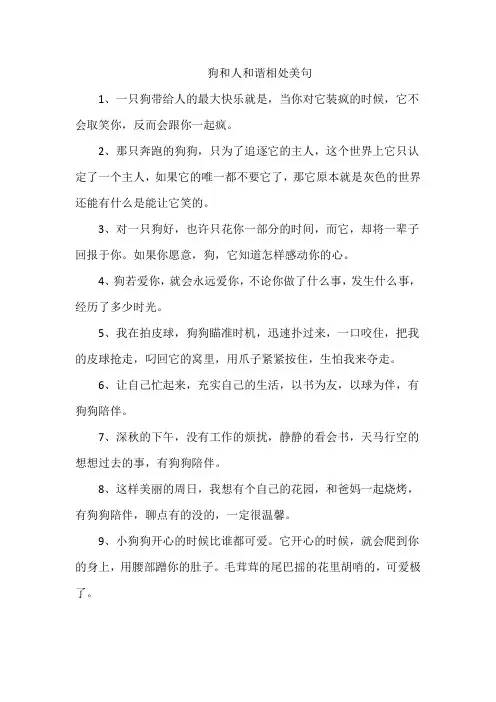 狗和人和谐相处美句