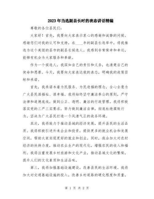 2023年当选副县长时的表态讲话精编