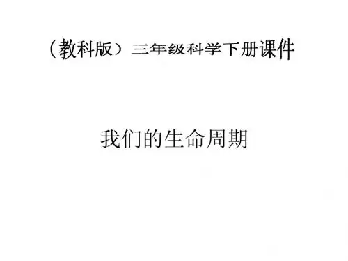 (教科版)三年级科学下册 我们的生命周期 课件