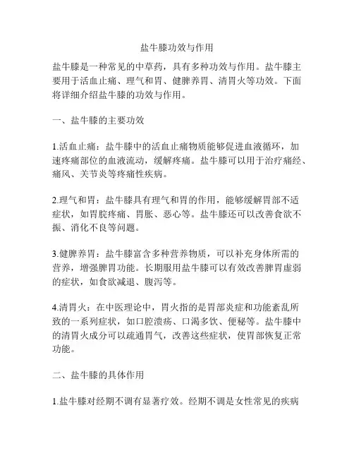 盐牛膝功效与作用