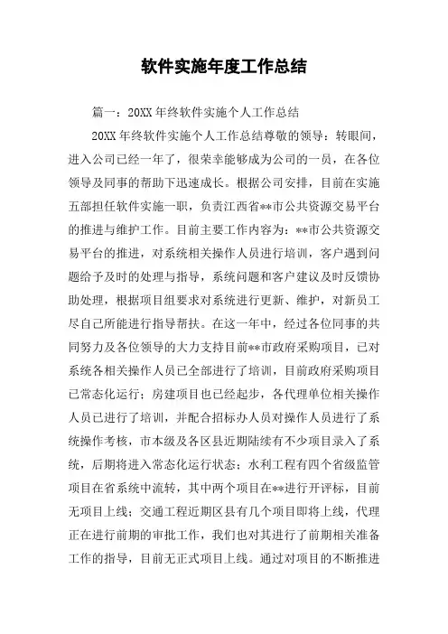软件实施年度工作总结