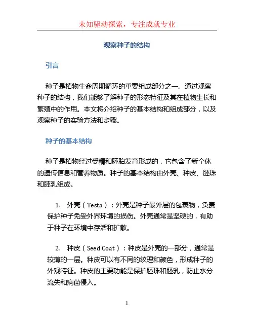 观察种子的结构 (2)