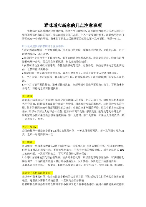 小奶猫去新家注意事项