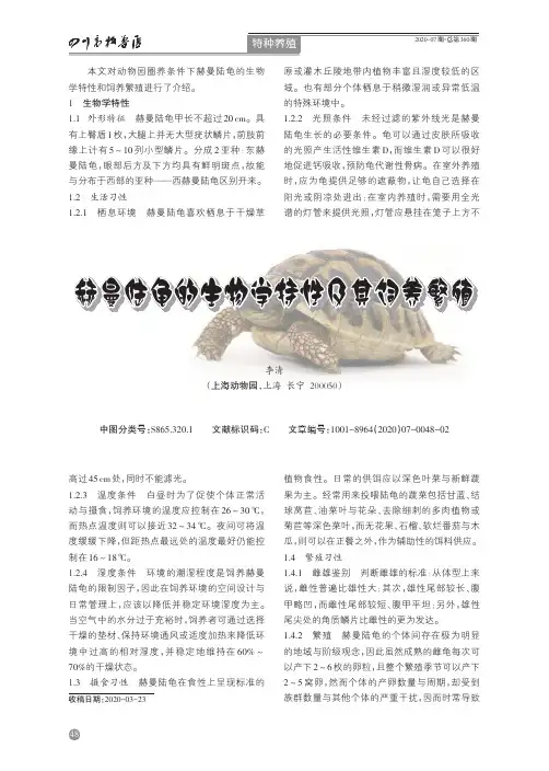 赫曼陆龟的生物学特性及其饲养繁殖
