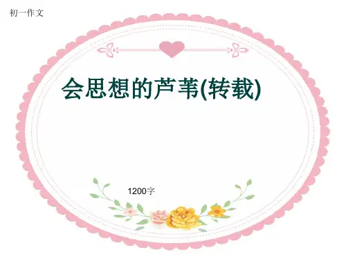 初一作文《会思想的芦苇(转载)》1200字(共14页PPT)
