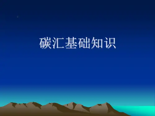 碳汇基础知识