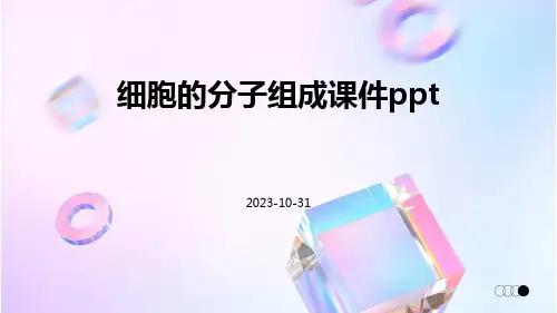 细胞的分子组成课件ppt