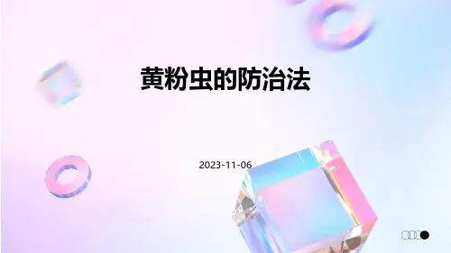 黄粉虫的防治法
