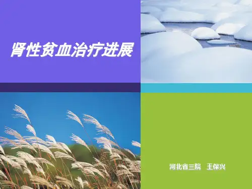 肾性贫血治疗进展