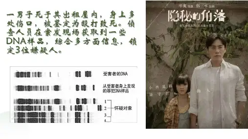 2.5 核酸是遗传信息的携带者-高一生物课件(人教版2019必修1)
