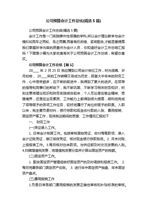 公司预算会计工作总结（精选5篇）