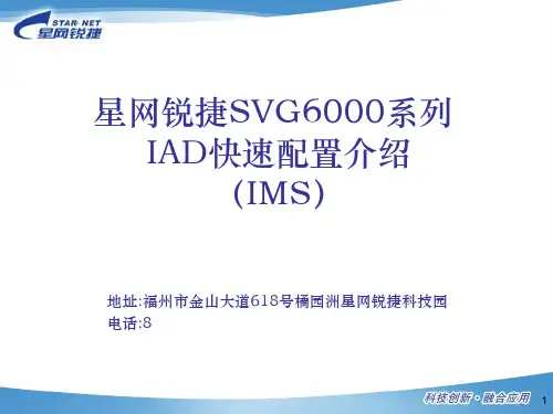 星网锐捷IAD产品快速配置介绍精品PPT课件