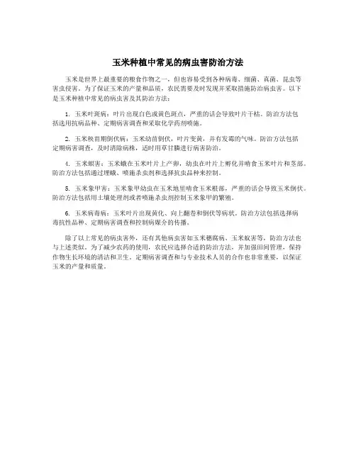 玉米种植中常见的病虫害防治方法