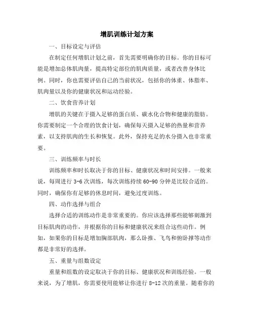 增肌训练计划方案