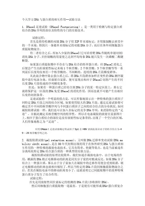 DNA与蛋白质的相互作用--试验方法