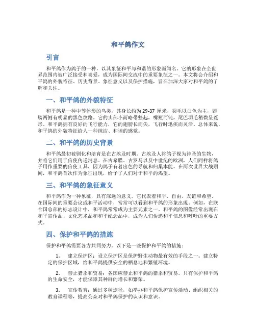 和平鸽作文字