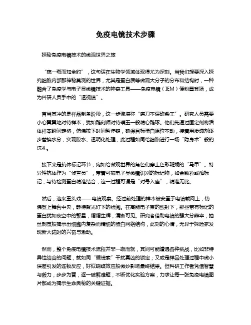 免疫电镜技术步骤
