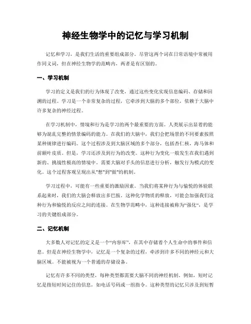 神经生物学中的记忆与学习机制