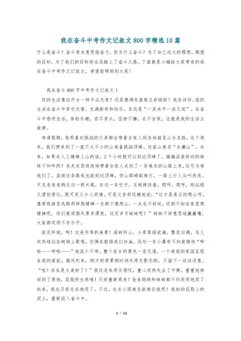 我在奋斗中考作文记叙文800字精选10篇