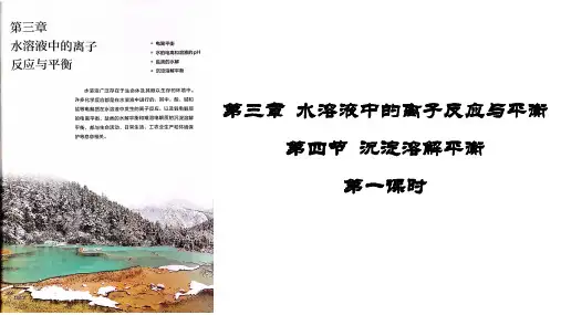 3.4.1沉淀溶解平衡课件高二上学期化学人教版选择性必修一
