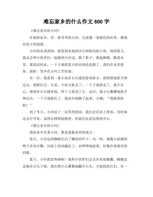 难忘家乡的什么作文600字