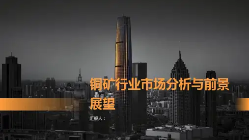 铜矿行业市场分析与前景展望