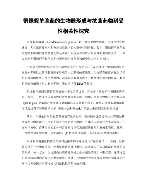 铜绿假单胞菌的生物膜形成与抗菌药物耐受性相关性探究