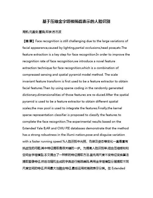 基于压缩金字塔核稀疏表示的人脸识别