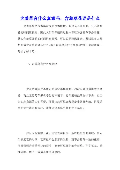 含羞草有什么寓意吗,含羞草花语是什么