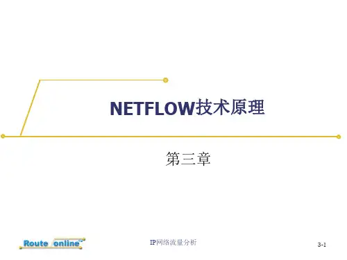 s03-流量分析技术-netflow