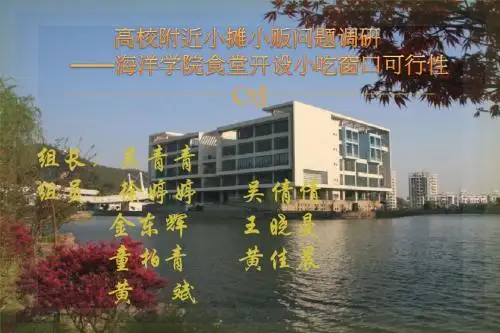 毛概调研论文ppt