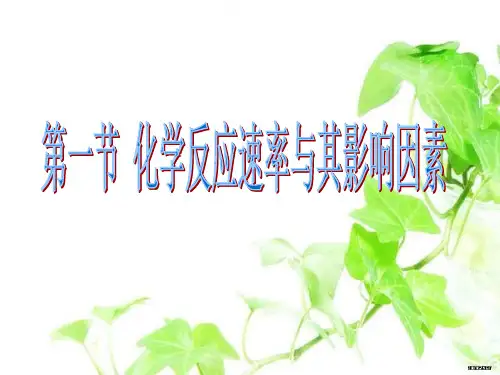 化学反应速率复习PPT课件