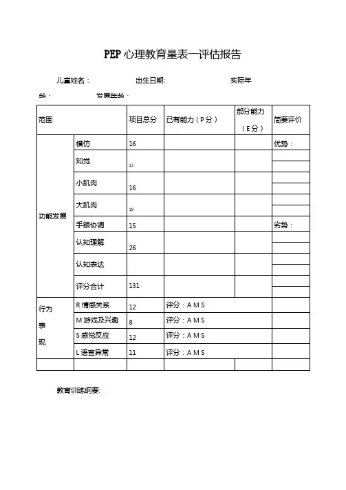 PEP-3孤独症儿童心理教育量表评价报告解析