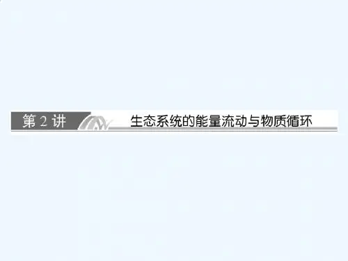 生态系统的能量流动与物质循环课件