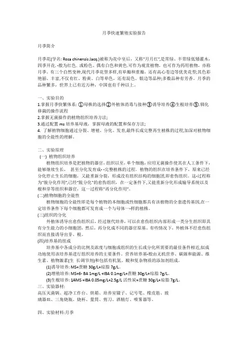 月季组培实验报告