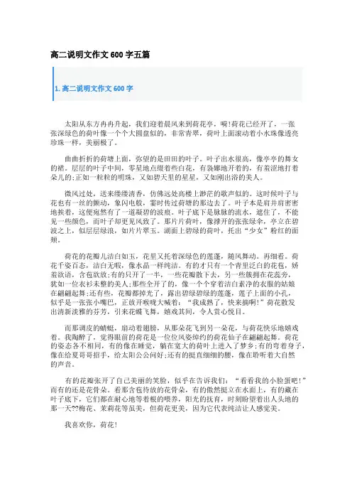 高二说明文作文600字五篇