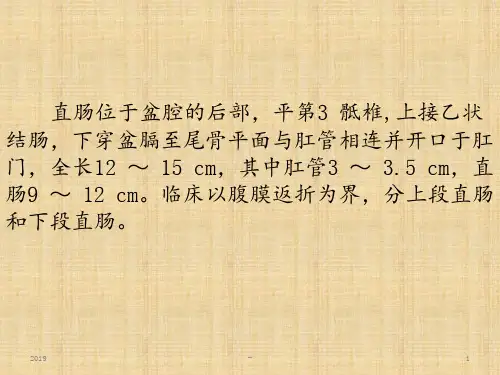 直肠癌切除术式ppt课件