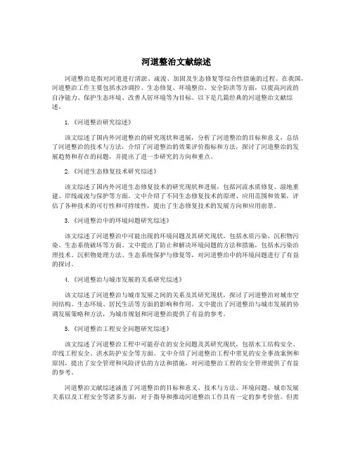 河道整治文献综述