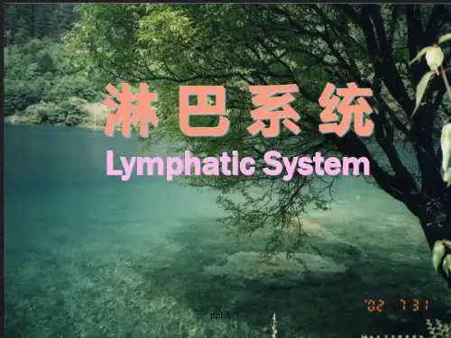 解剖学之淋巴系统  ppt课件 (2)