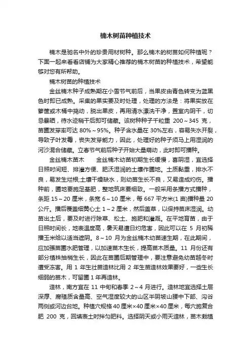 楠木树苗种植技术