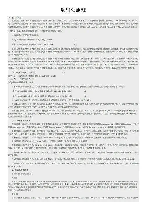 反硝化原理——精选推荐