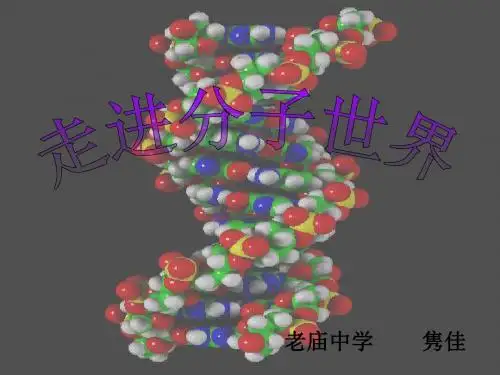 《走进分子世界》ppt9