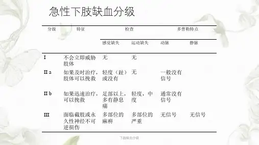 下肢缺血分级ppt课件