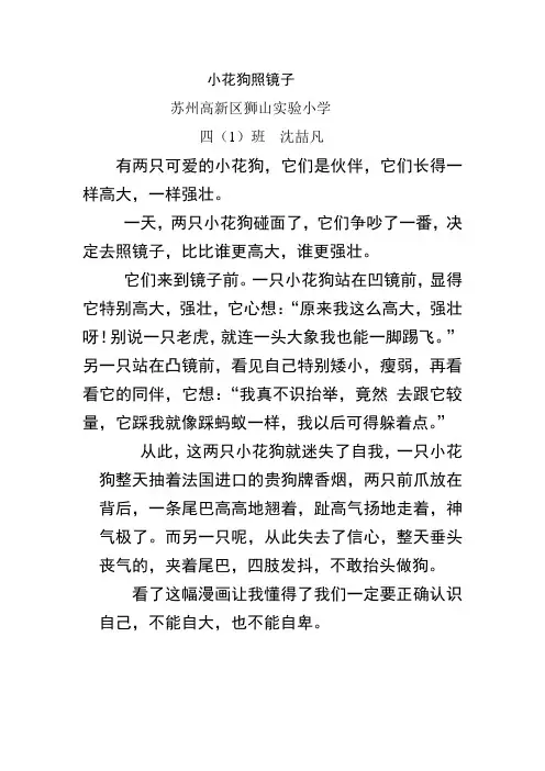 小花狗照镜子