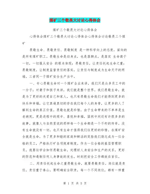 煤矿三个敬畏大讨论心得体会