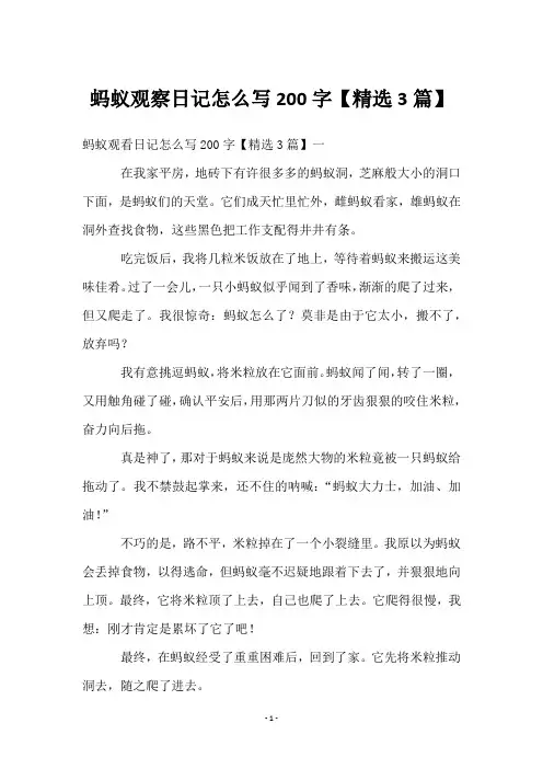蚂蚁观察日记怎么写200字【3篇】