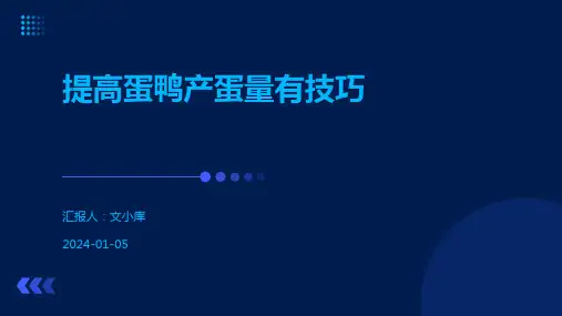 提高蛋鸭产蛋量有技巧