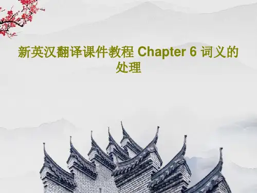 新英汉翻译课件教程 Chapter 6 词义的处理共59页文档