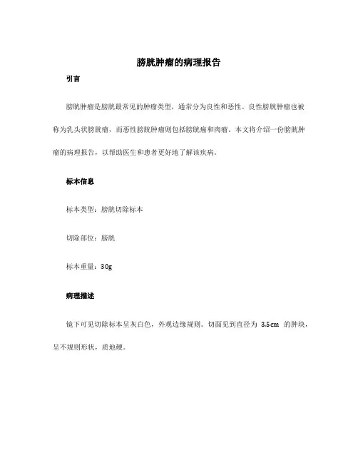 膀胱肿瘤的病理报告