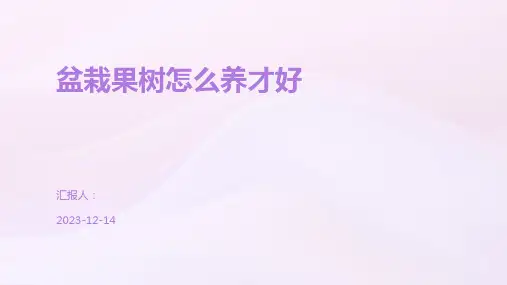 盆栽果树怎么养才好